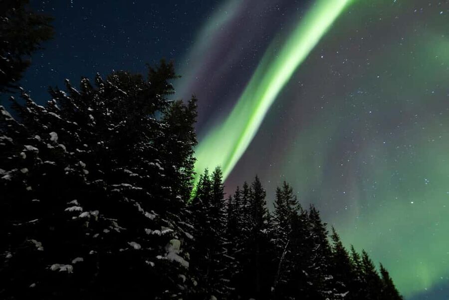 From Tromsø: Northern Lights Visit at Camp Tamok - Practical choices before you go