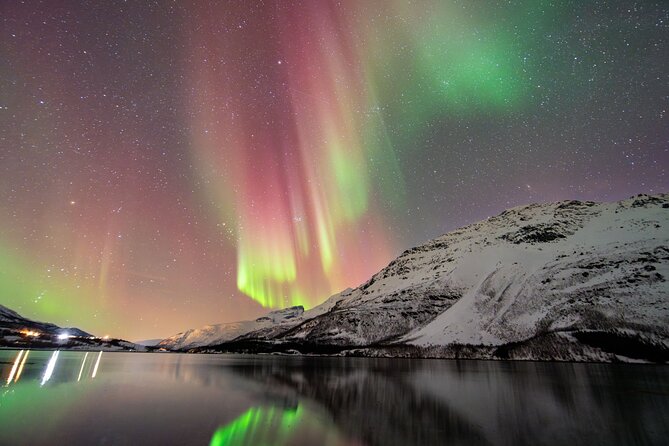 From Tromsø: OFFICIAL Northern Lights Safari by Minibus - Key Points to Know Before You Book