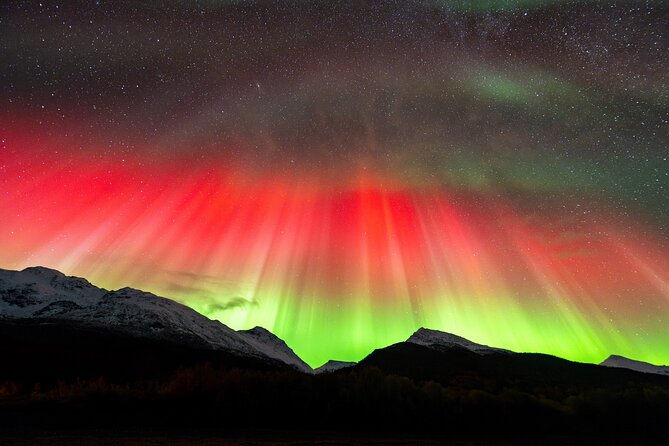 From Tromsø: OFFICIAL Northern Lights Safari by Minibus - What the Evening Actually Feels Like