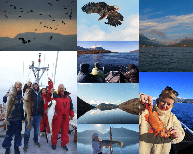 From Tromso: Polar Fishing Adventure - What the Tromsø fishing trip is really like