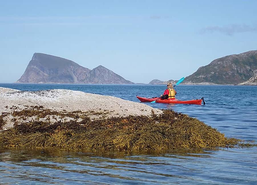 From Tromsø: Sea Kayaking Tour at Sommarøy with Transfer - Choosing a route around the wind