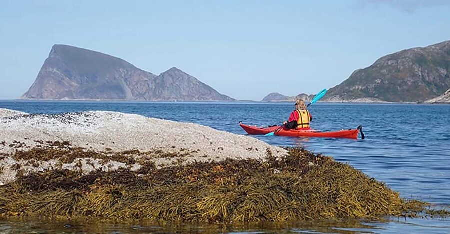 From Tromsø: Sea Kayaking Tour at Sommarøy with Transfer - A white beach, hot drink, and tidal zone