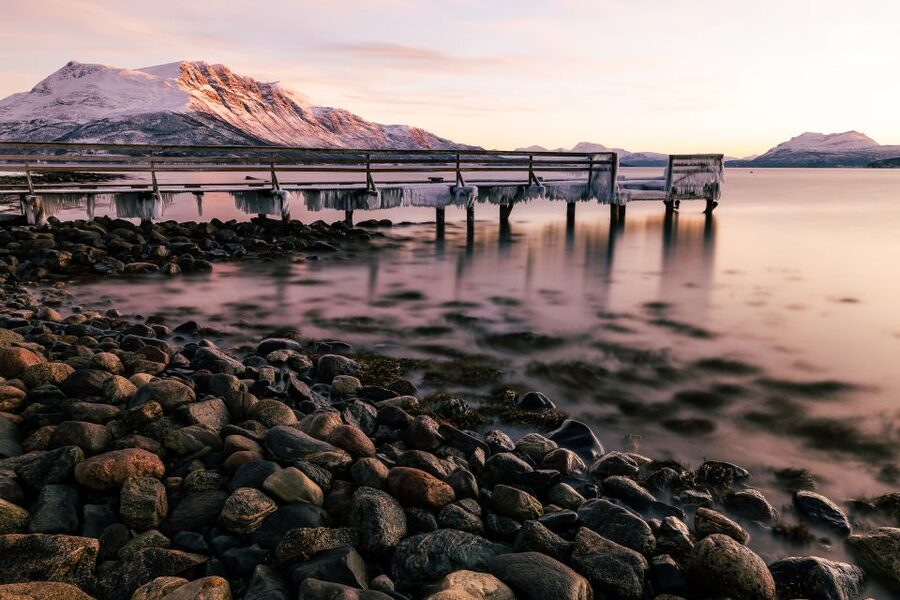 From Tromsø: Senja and Kvaløya Arctic Day Trip with Lunch - Five hours of Senja’s fjords and quieter corners