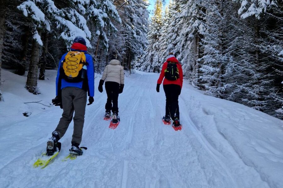 From Tromsø: Snowshoe Hike in the Arctic - What the guide adds to the walk