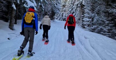 Snowshoe Hike in the Arctic