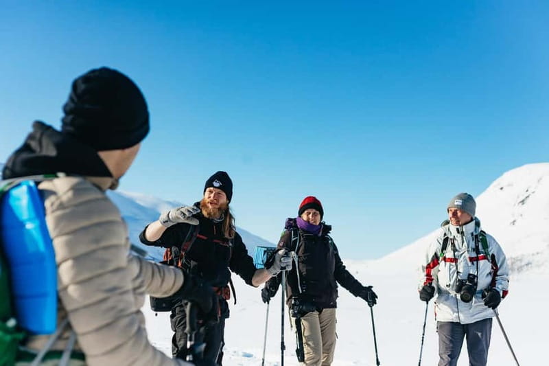 From Tromsø: Snowshoeing Hike with Picnic Lunch and Photos - Key points at a glance