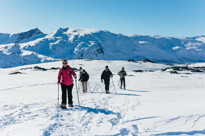 From Tromsø: Snowshoeing Hike with Picnic Lunch and Photos - The climb: easy to moderate, with some real effort