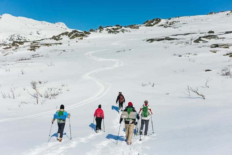 From Tromsø: Snowshoeing Hike with Picnic Lunch and Photos - Photos that save you from carrying a camera
