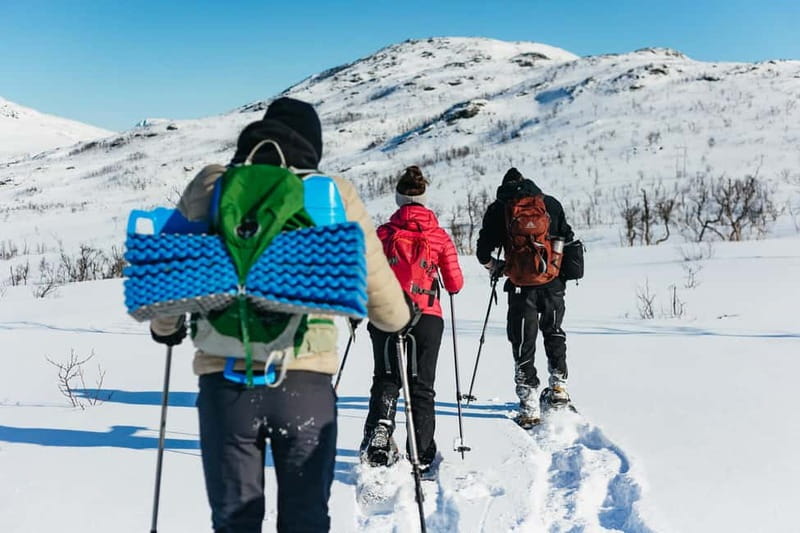 From Tromsø: Snowshoeing Hike with Picnic Lunch and Photos - What to wear and what to request
