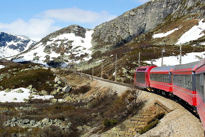 Full Day Guided Roundtrip From Bergen To Sognefjord With Flam Railway - Who should book this experience?
