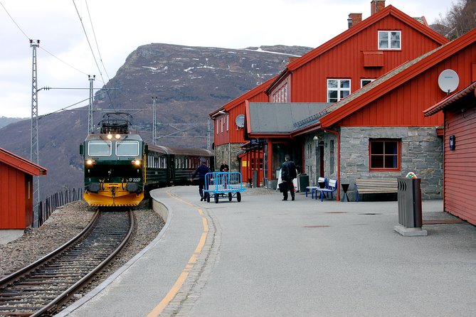Full Day Guided Roundtrip From Bergen To Sognefjord With Flam Railway - Gudvangen and the two-hour fjord cruise