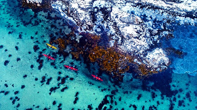 Full Day Kayak-Northern Explorer - Paddling among islands, birds, and clear water