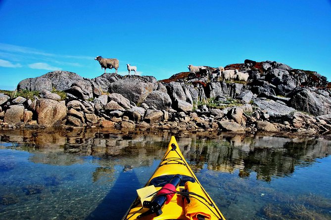 Full Day Kayak-Northern Explorer - Returning to Eggum after about six hours