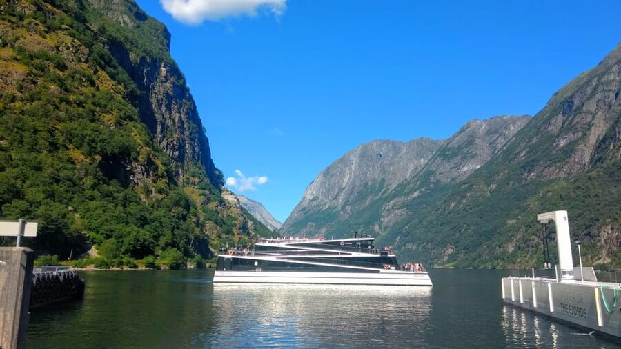 Full day private tour to Flåm - What the $918 price really buys