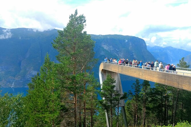 Full Day Private Tour to Flam with Pick Up - Two hours on the electric Nærøyfjord cruise