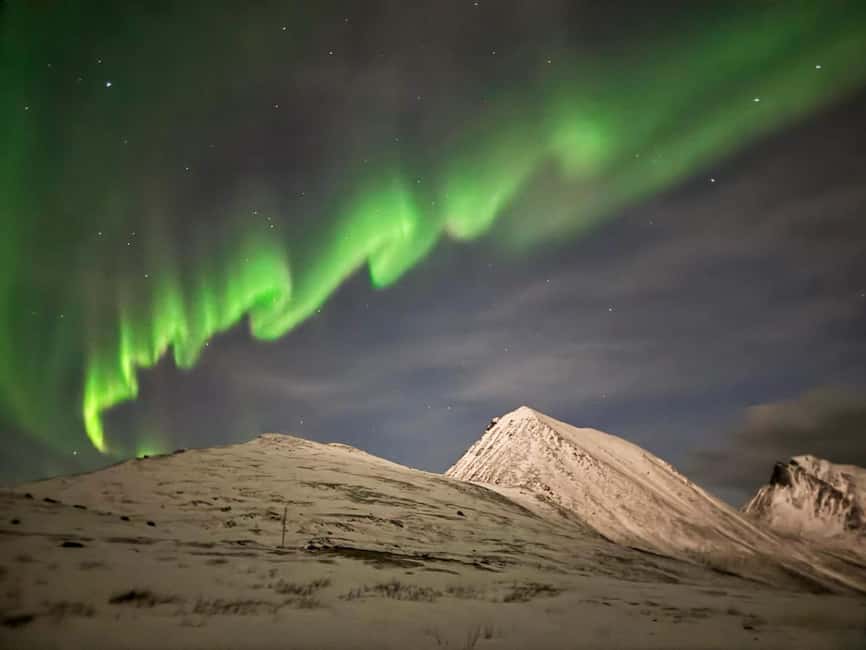 Full Night Magic of the Arctic Lights in Tromso - Booking details worth knowing before you commit