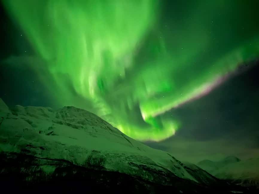 Full Night Magic of the Arctic Lights in Tromso - Starting at Magic Ice Bar Tromsø