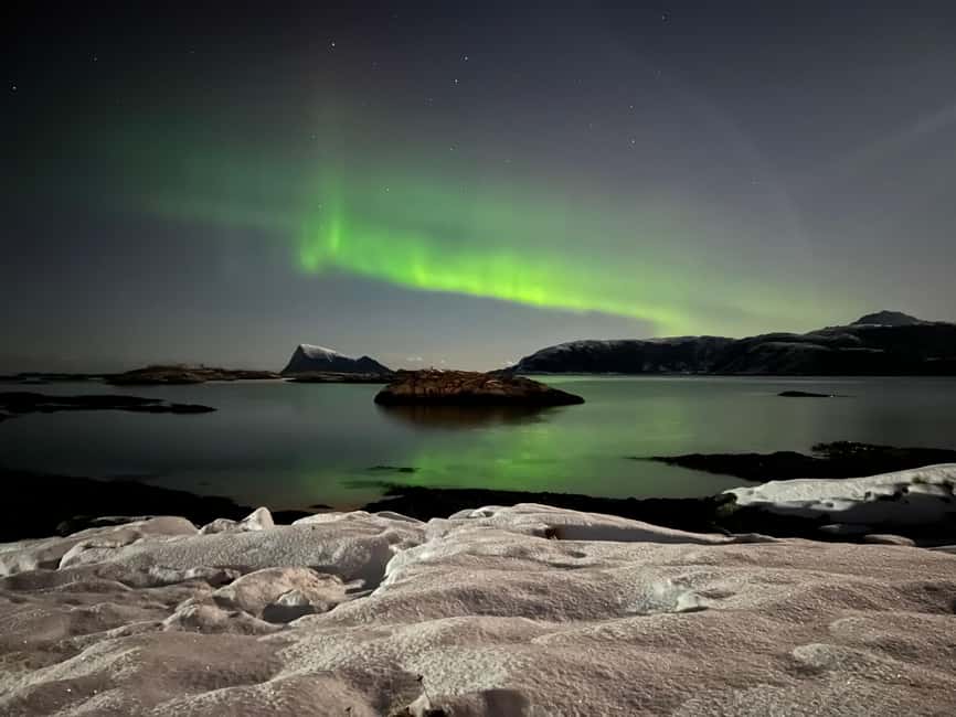 Full Night Magic of the Arctic Lights in Tromso - The bonfire stop and warm drinks