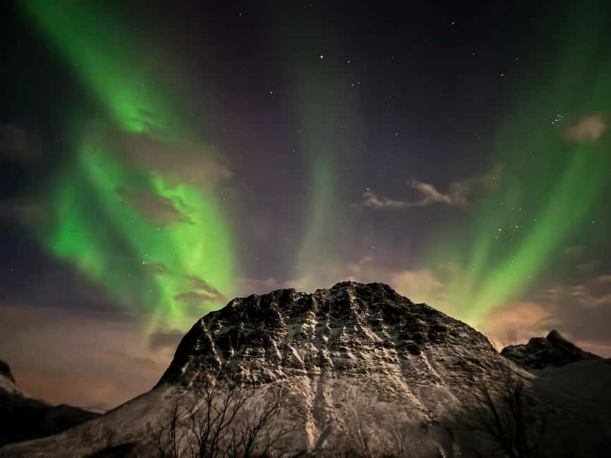 Full Night Magic of the Arctic Lights in Tromso - Who will get the most from this five-hour outing