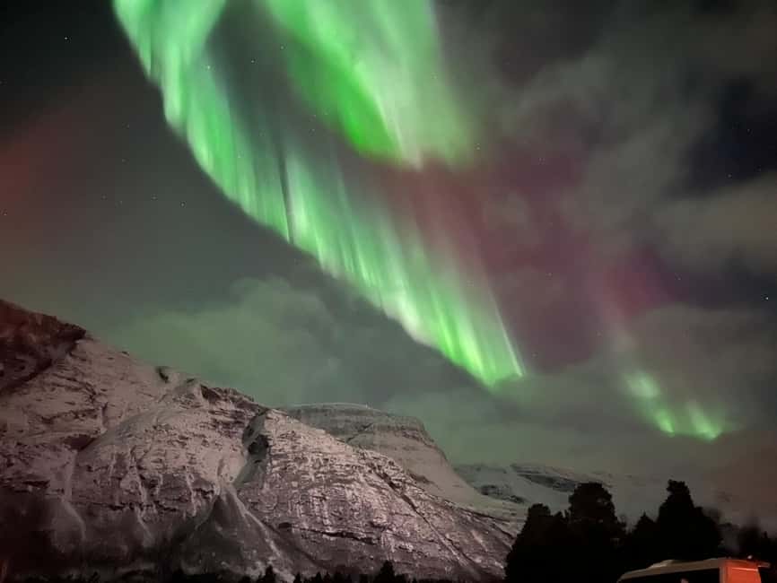 Full Night Magic of the Arctic Lights in Tromso - Is $186 a fair price?