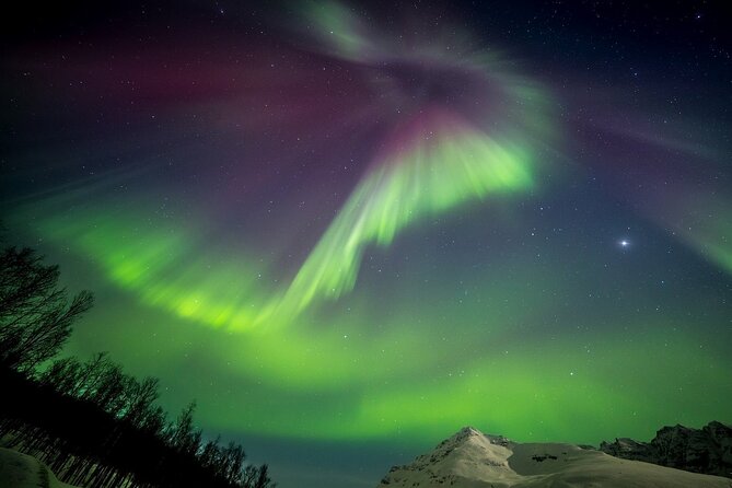 Full Night Magic of the Northern Lights in Tromso - The Finnish border option
