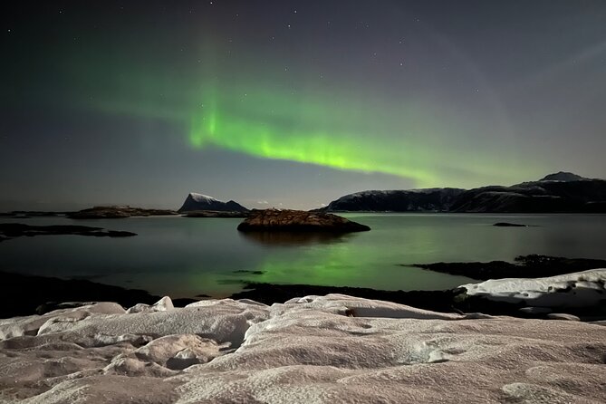 Full Night Magic of the Northern Lights in Tromso - Bonfire, hot drinks, and simple comforts
