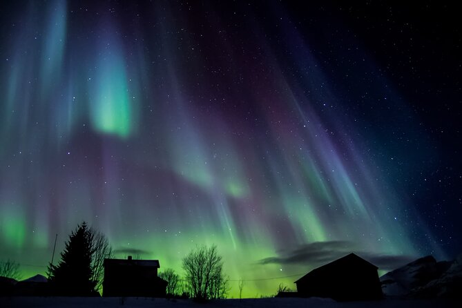 Full Night Magic of the Northern Lights in Tromso - The guides make a real difference
