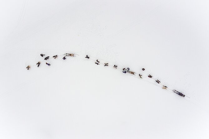 Fun & Easy Dog Sledding Adventure from Tromsø - Early Bird Tour - Who will enjoy this Tromsø dog sledding tour