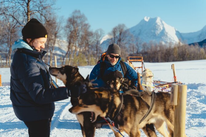 Fun & Easy Dog Sledding Adventure from Tromsø - Noon Tour - Snowy views toward the Lyngen Alps