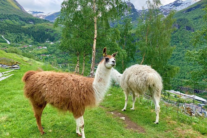 Geiranger by Royal route, 5 hours with visiting a high-mountain farm - Hotel Union and the Geiranger river walk