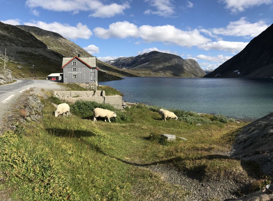 Geiranger: Dalsnibba, Flydalsjuvet, Eagle Bend & Fjords Tour - Is 3.5 hours enough?