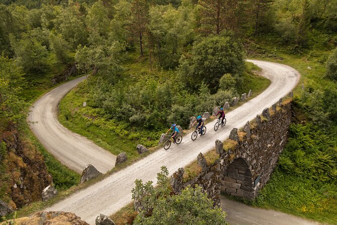 Geiranger: Sky to Fjord Downhill Biking Adventure - Blåfjell and the first mountain views