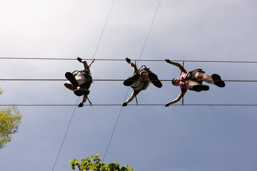 Geiranger: Zipline Park Experience - The view is best when you stop moving