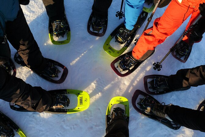 Guided easy snowshoeing with a visit to local café - Key points before you book