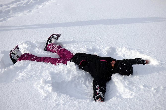Guided easy snowshoeing with a visit to local café - Leaving Tromsø at 9 in the morning