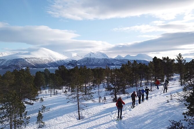 Guided easy snowshoeing with a visit to local café - The weather question in Malangen