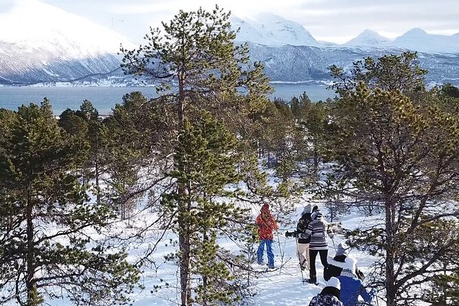 Guided easy snowshoeing with a visit to local café - Practical details that matter