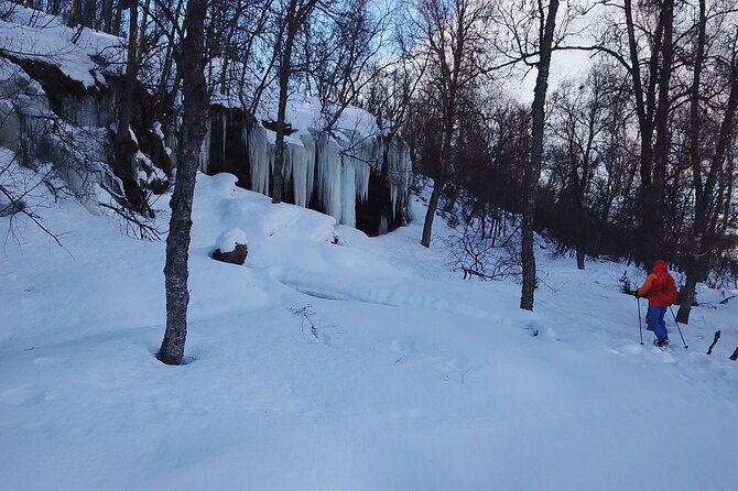 Guided easy snowshoeing with a visit to local café - Finding your balance on snowshoes