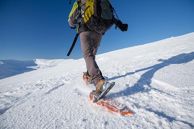 Guided Morning Snowshoe Hike with Huskies - Snowshoeing Through Kvaløya’s Arctic Quiet
