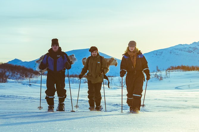 Guided Morning Snowshoe Hike with Huskies - What the Five-Hour Schedule Really Means