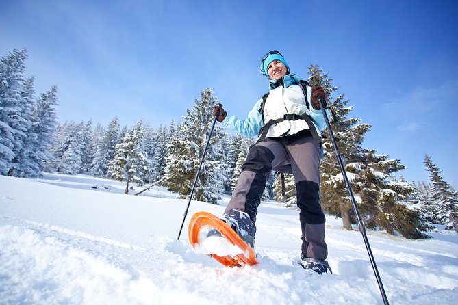 Guided Morning Snowshoe Hike with Huskies - Who Should Book This Morning Outing?