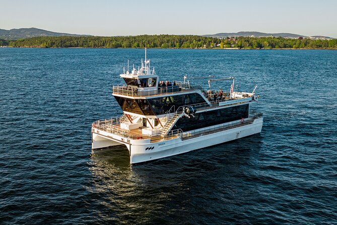 Guided Sightseeing Cruise on Oslofjord by Premium Silent Boat - Islands, wildlife, and the quieter side of Oslofjord