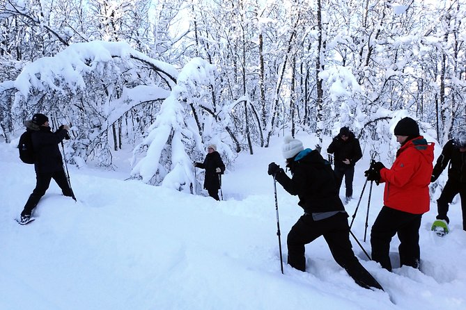 Guided Snowshoe Walk on Tromsoya Island in Tromso - What this Tromsø snowshoe walk is really like