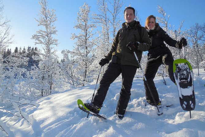 Guided Snowshoe Walk on Tromsoya Island in Tromso - Walking through Tromsøya’s birch and spruce woods