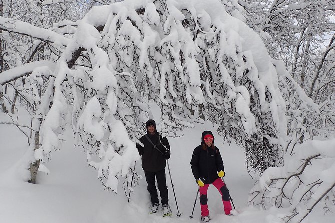 Guided Snowshoe Walk on Tromsoya Island in Tromso - A gentle workout, with a few uneven moments