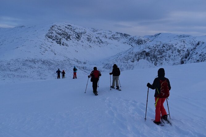 Guided Snowshoe Walk on Tromsoya Island in Tromso - Lefse and a hot drink in the snow