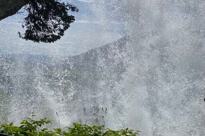Guided tour to Hardanger Fjord, Waterfalls and Ferry Crossing - Road 550 brings orchards and fjord views