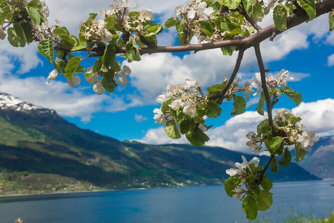 Guided tour to Hardanger Fjord, Waterfalls and Ferry Crossing - Herand is a short marina break