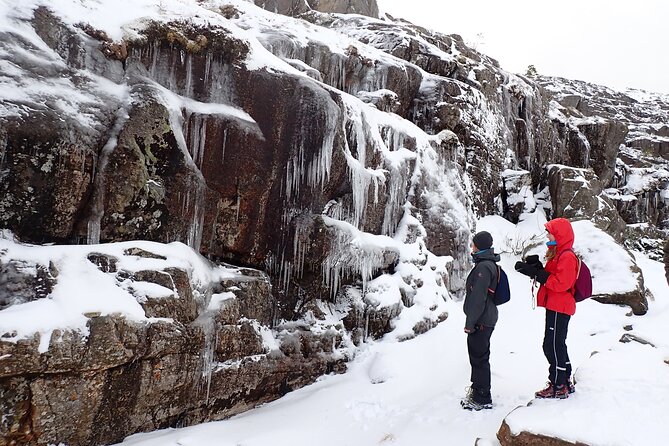 Guided winter hike to Pulpit Rock Preikestolen - Who will enjoy this hike most