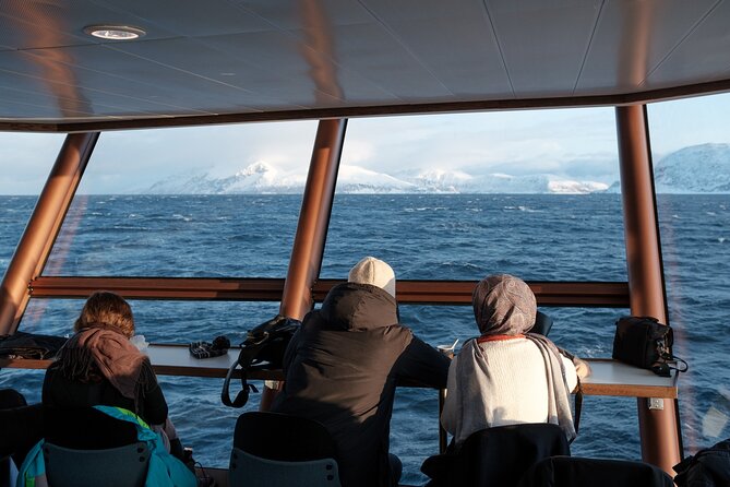 Half Day Arctic Fjord Cruise from Tromso - Commentary from Francesca, Ivan, Fred, and Massi